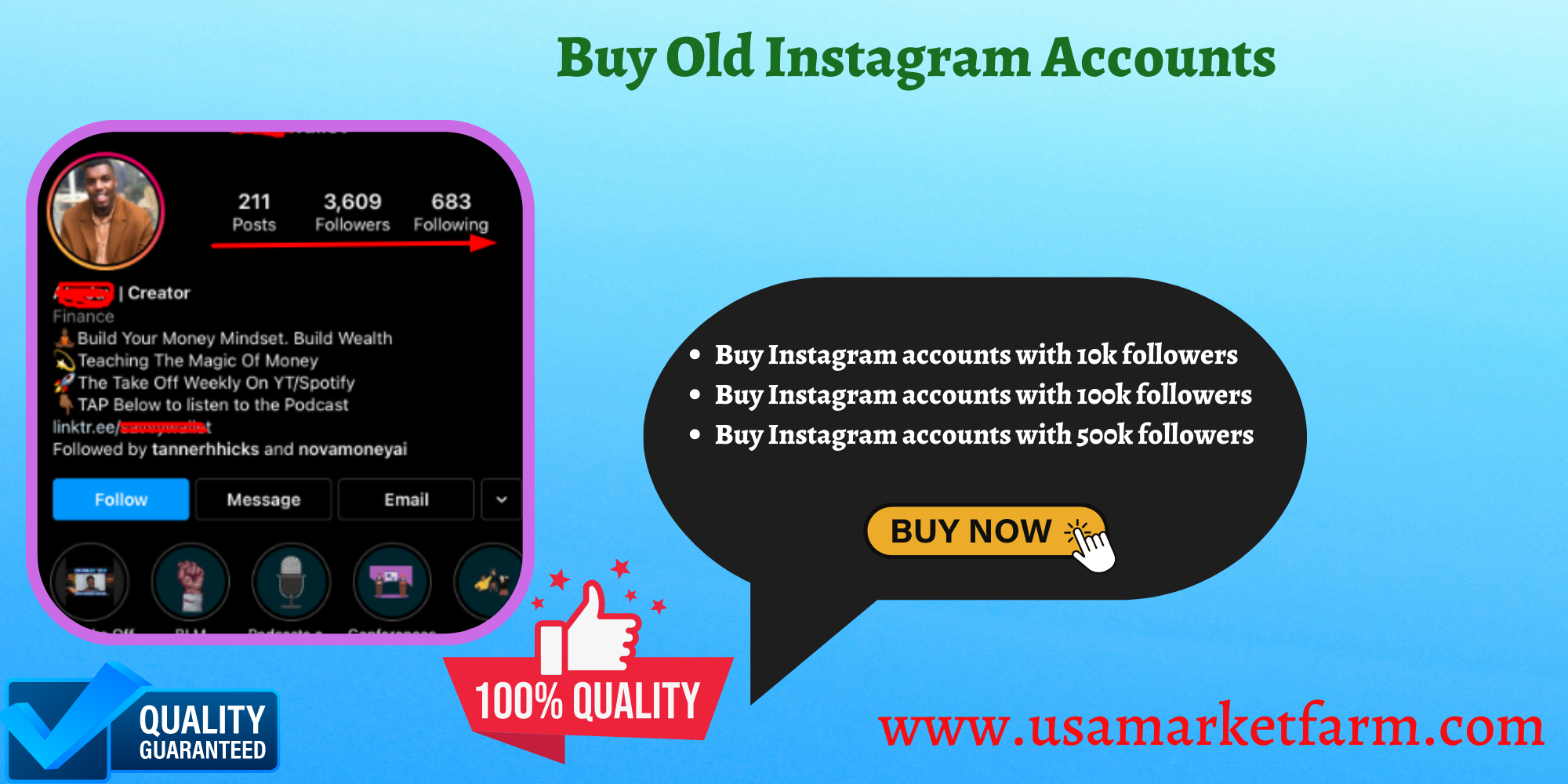 Buy Instagram Accounts in Cheap